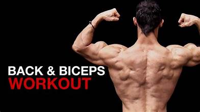 Back and Bicep Workout